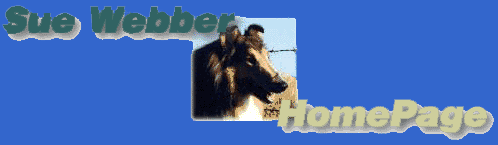 Sue Webber Website